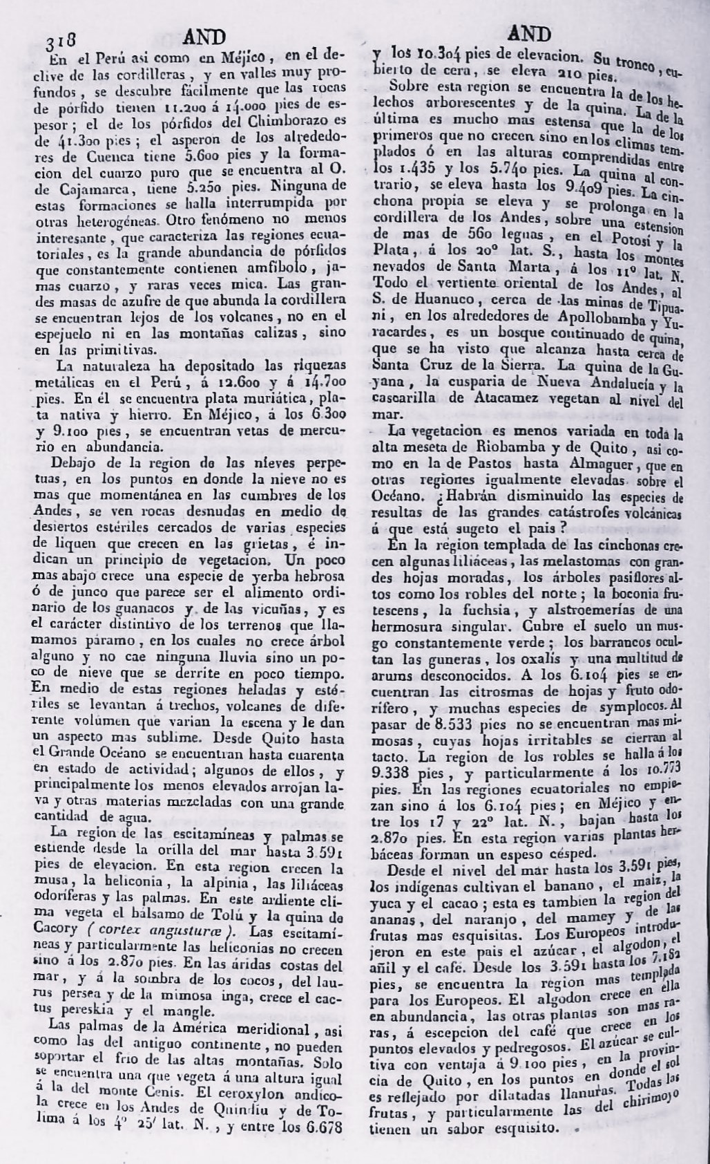 página 318 AND abecedario. Tomo 1