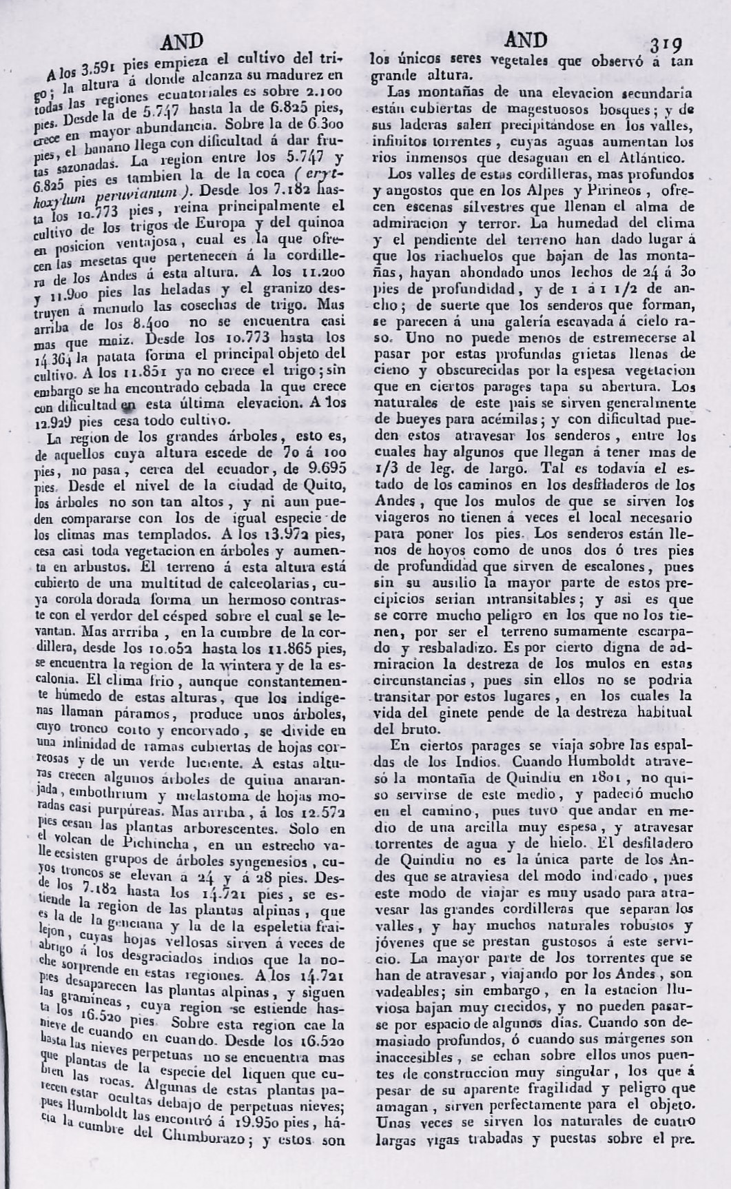 página 319 AND abecedario. Tomo 1