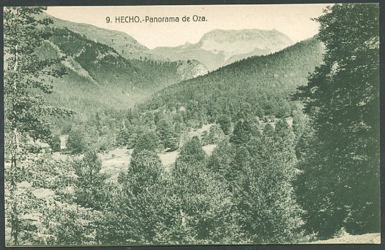 Hecho, Selva de Oza