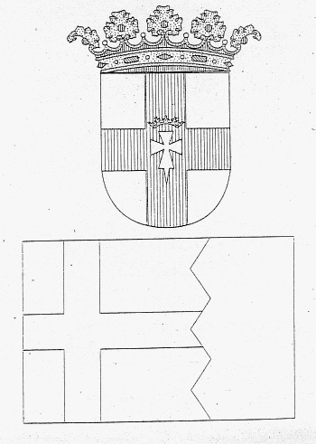 Bandera y escudo monezipal de luesia