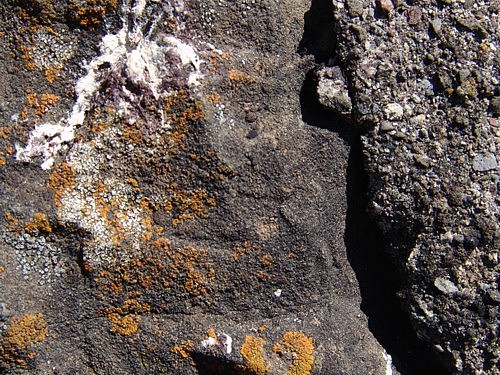 Piedra 5