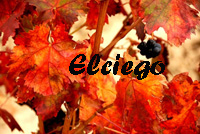 El ciego