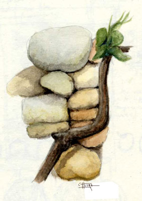 Ilustraci�n de Chema Lera