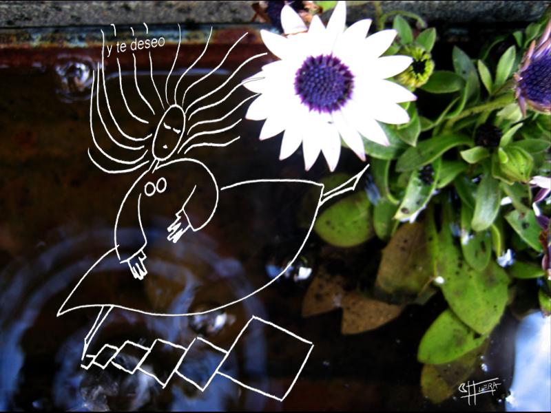 Selecci�n de Poemas 9
