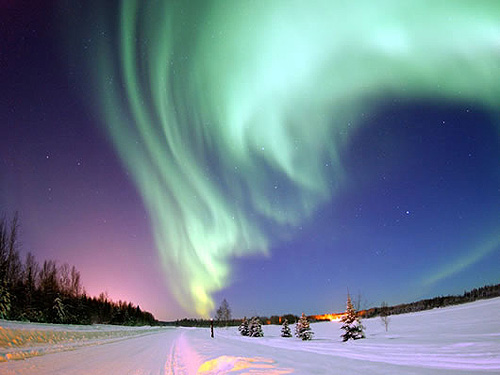 Auroa Boreal, Berna Wang, La mirada oblicua