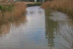 aguas de barro