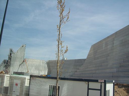 Visita a las obras de Expo 2008 el 29 de Marzo.