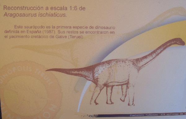 Dinosaurios. Exposición de dinosaurios procedentes de Dinopolis en Gran Casa de Zaragoza el 30 de junio de 2011. 05