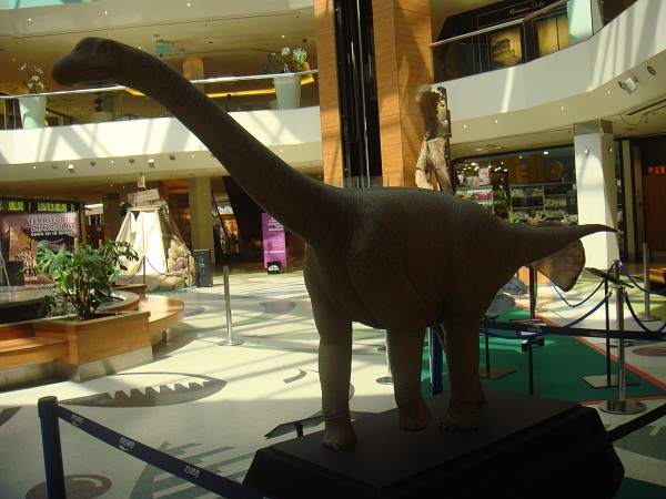Dinosaurios. Exposición de dinosaurios procedentes de Dinopolis en Gran Casa de Zaragoza el 30 de junio de 2011. 06