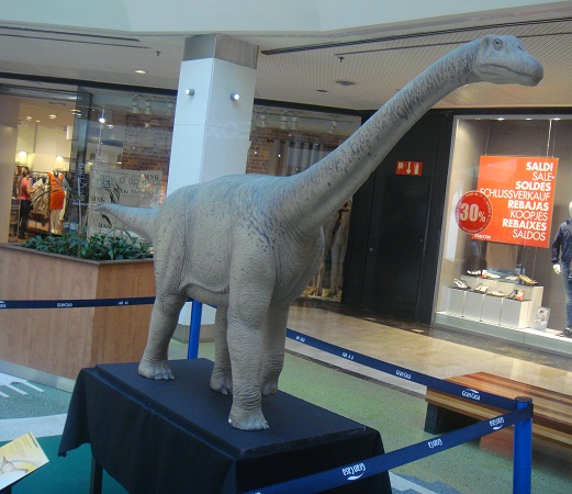 Dinosaurios. Exposición de dinosaurios procedentes de Dinopolis en Gran Casa de Zaragoza el 30 de junio de 2011. 08