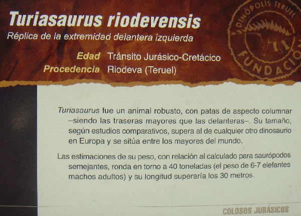 Dinosaurios. Exposición de dinosaurios procedentes de Dinopolis en Gran Casa de Zaragoza el 30 de junio de 2011. 12