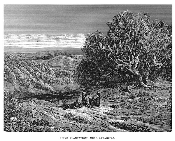 Gustave Dore en Aragon. Plantación de olivos cerca de Zaragoza. 05