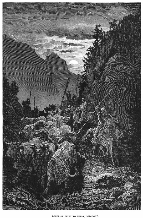 Gustave Dore en Aragon. Transporte toros bravos. 08