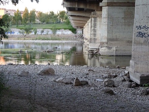 Paseo por Zaragoza Capital. 12 de agosto de 2017. Puente Almozara. 19